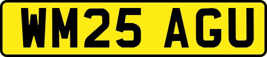 WM25AGU