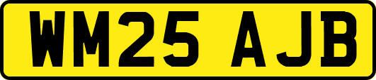 WM25AJB