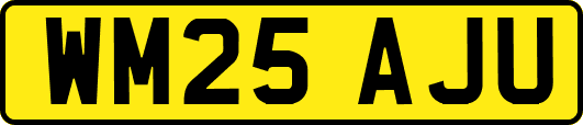 WM25AJU