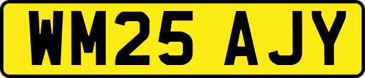 WM25AJY