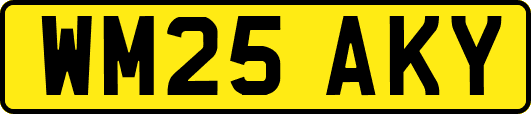 WM25AKY