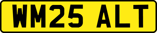 WM25ALT