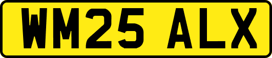 WM25ALX