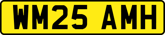 WM25AMH