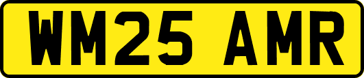 WM25AMR