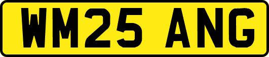 WM25ANG