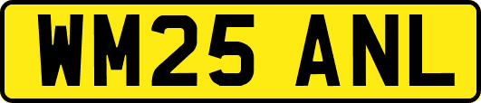WM25ANL