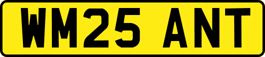 WM25ANT