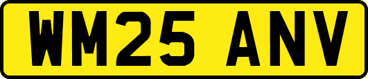 WM25ANV