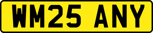WM25ANY