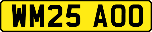 WM25AOO