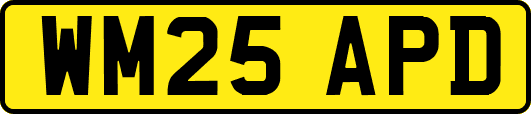 WM25APD