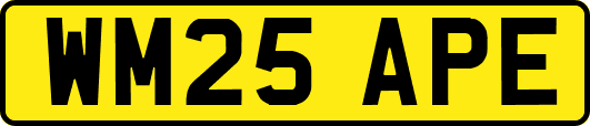 WM25APE