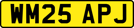 WM25APJ
