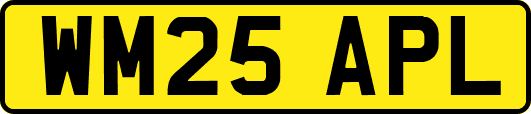 WM25APL