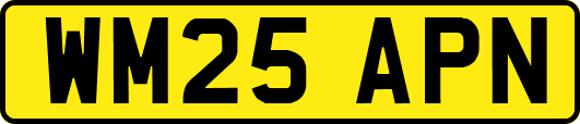 WM25APN