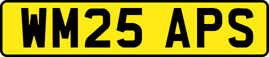WM25APS