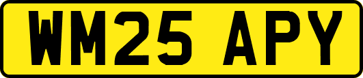 WM25APY