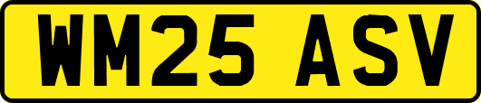 WM25ASV