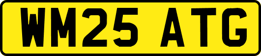 WM25ATG