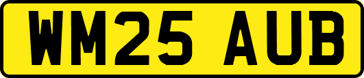 WM25AUB