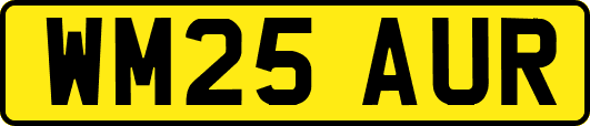 WM25AUR