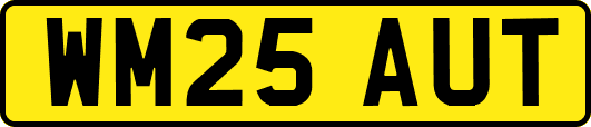 WM25AUT