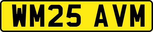 WM25AVM