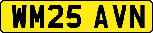 WM25AVN
