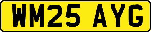 WM25AYG