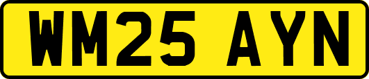 WM25AYN