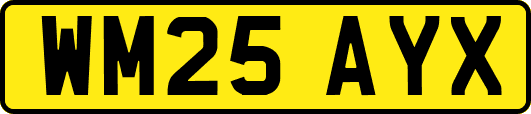 WM25AYX