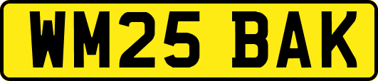 WM25BAK