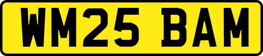 WM25BAM