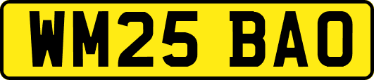 WM25BAO