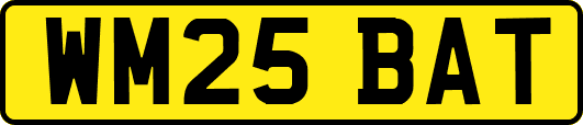 WM25BAT