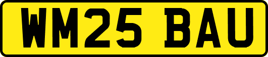 WM25BAU