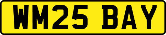 WM25BAY