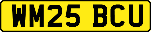 WM25BCU