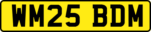 WM25BDM
