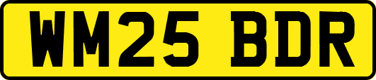 WM25BDR
