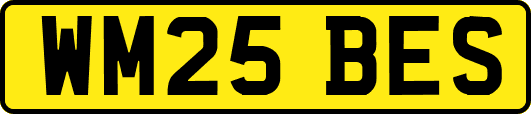 WM25BES
