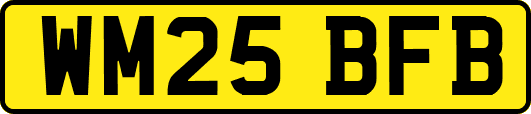 WM25BFB