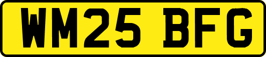 WM25BFG