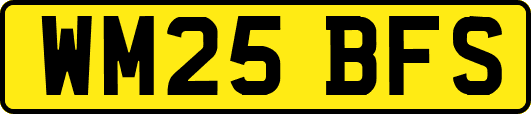 WM25BFS