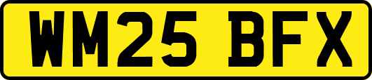 WM25BFX