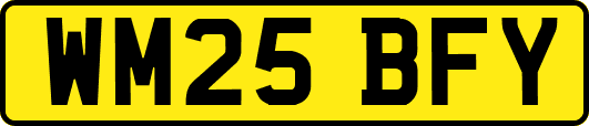 WM25BFY