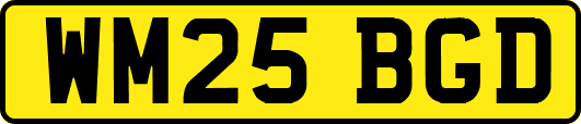 WM25BGD
