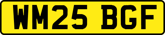 WM25BGF