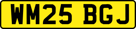 WM25BGJ